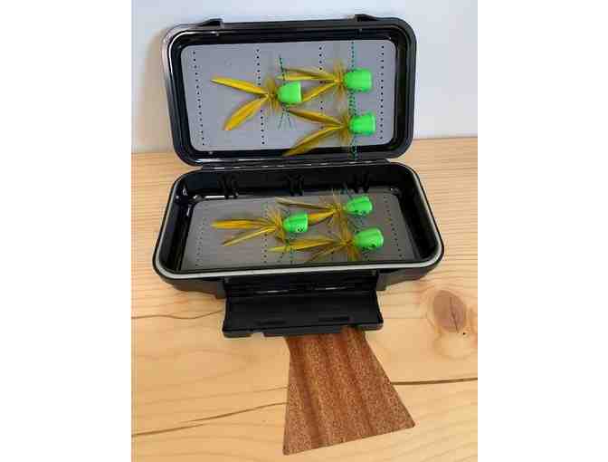 Minneapolis Popper Collection #2