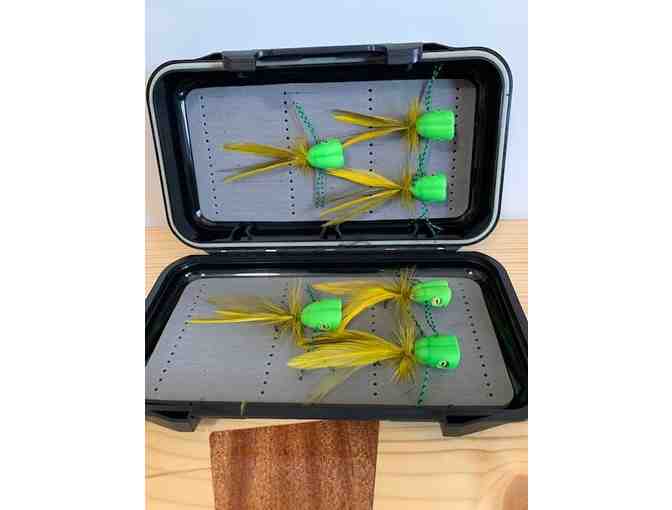 Minneapolis Popper Collection #1