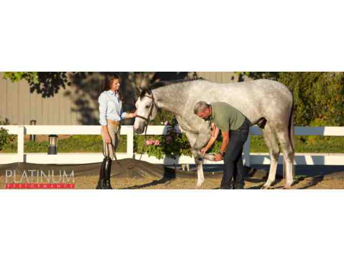 Platinum Performance - Three 10 lb. Buckets of PP CJ