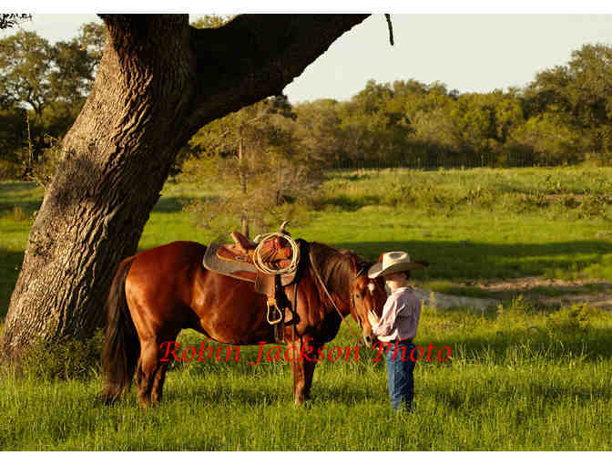 For the Dedicated Equestrian