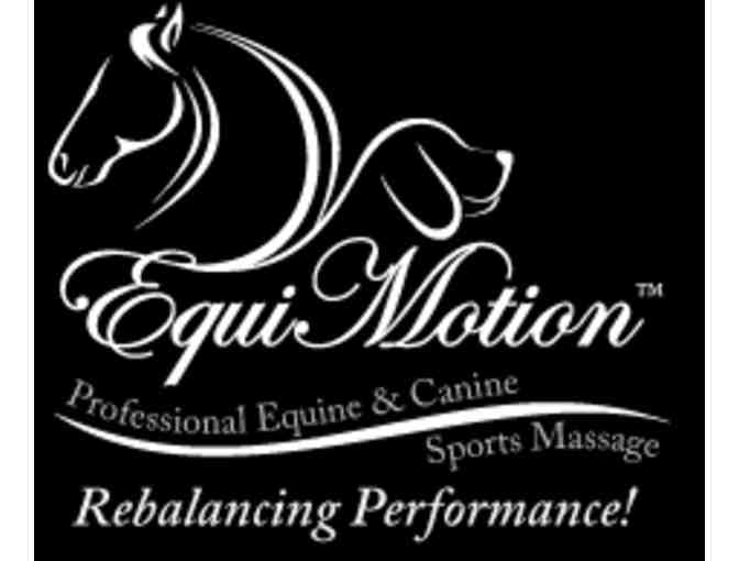 EquiMotion Sports Massage