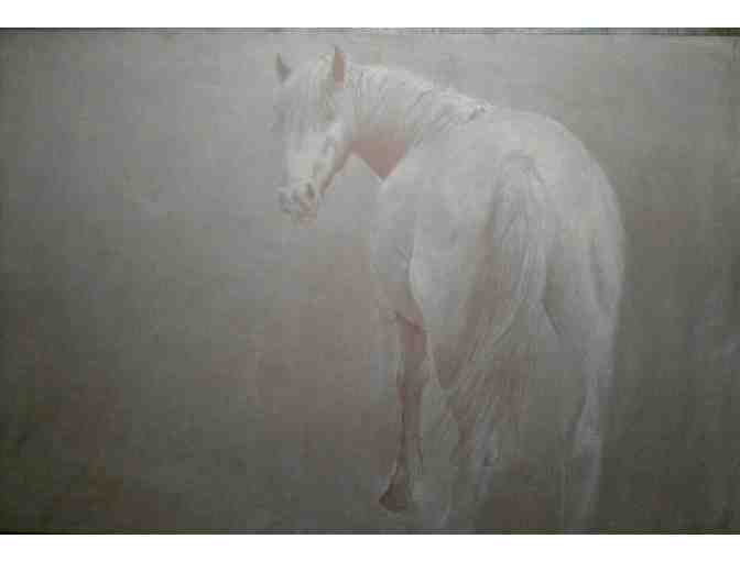 Pencil-on-Paper Horse Portraits