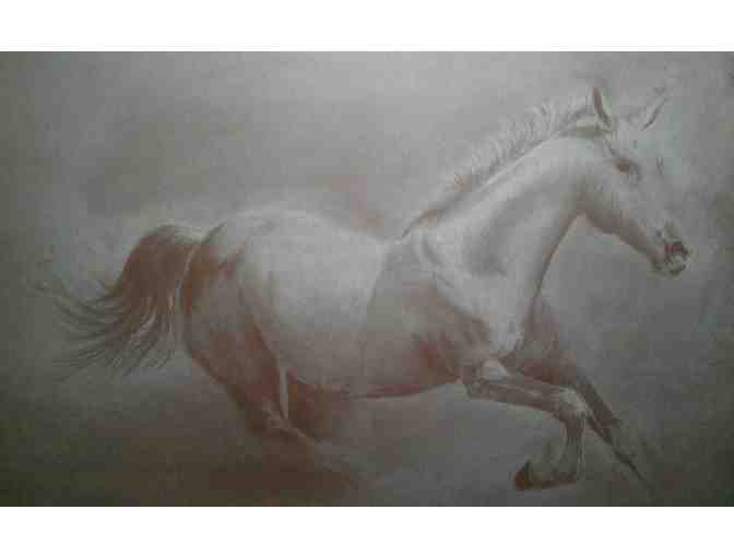 Pencil-on-Paper Horse Portraits