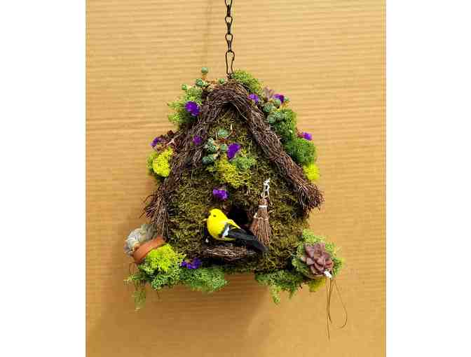 205. Decorative Living Succulent Birdhouse 1 - Photo 1
