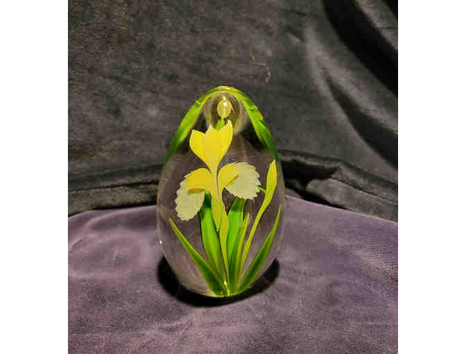 37. Yellow Iris Art Glass