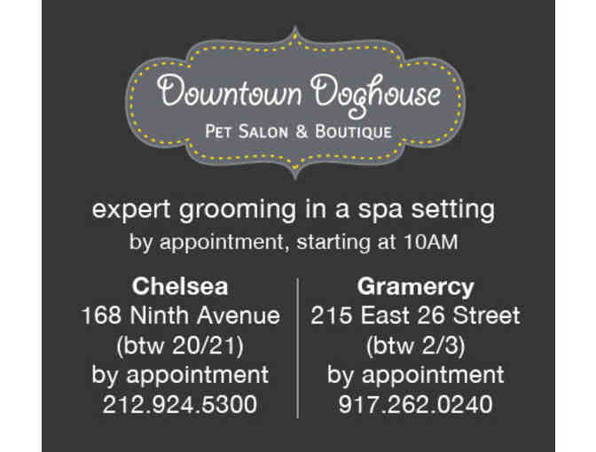 Downtown Doghouse - $125 Grooming Services