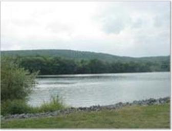 One-Week Stay at Wellspring House - A Retreat for Artists & Writers