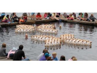 Beam Camp, NH - Three-Week Sleepaway Session!