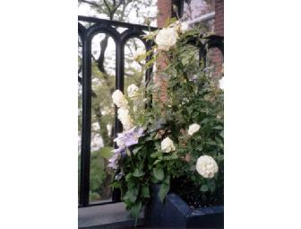 Florence's Gardens - One-Hour Expert Gardening Consultation