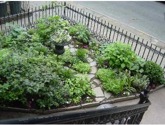 Florence's Gardens - One-Hour Expert Gardening Consultation