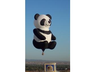 Family Pack of 6 Tickets for 2010 QuickChek Balloon Festival