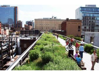 Teacher Experience - An Afternoon on the Highline with Leah Brunski, 5-506
