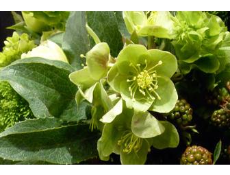 Seaport Flowers $50.00 Certificate