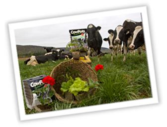 A Day on the Freund Family Farm