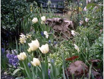 Florence's Gardens - One-Hour Expert Gardening Consultation