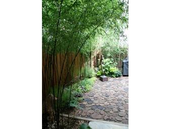 Verdant Gardens - Landscape Design and Consultation