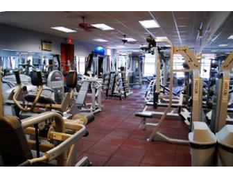 Body Elite - Three Month Membership