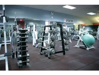 Body Elite - Three Month Membership