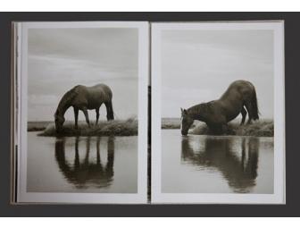 Sermo Per Equus, Limited Edition, by Bonnie Edelman