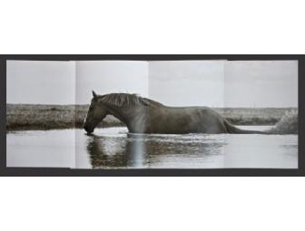 Sermo Per Equus, Limited Edition, by Bonnie Edelman