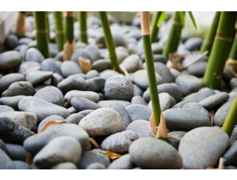 3 Month Health Counseling Program