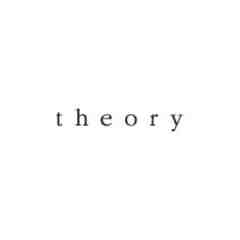 Theory