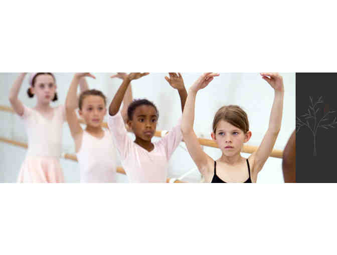 Mark Morris Dance Group Gift Pack