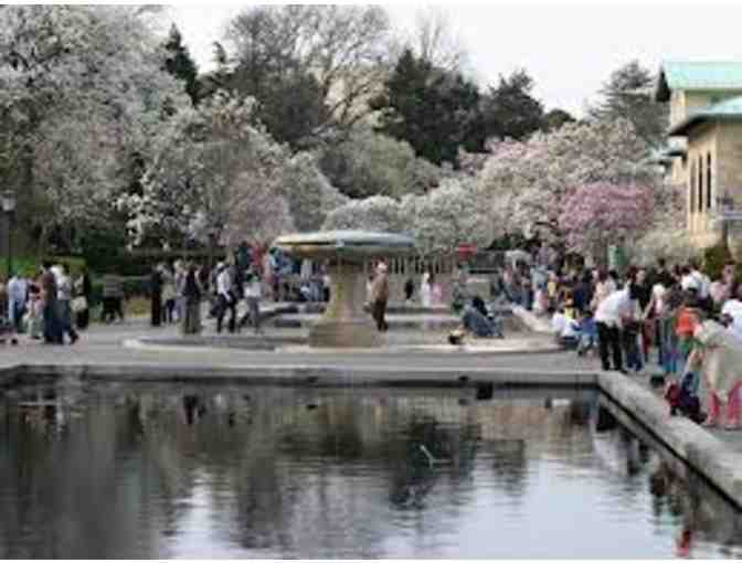 Brooklyn Botanic Garden - Frequent Visitor Family Pass
