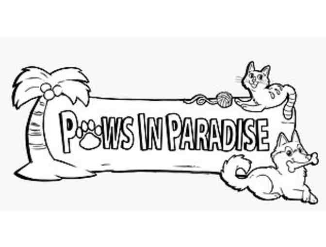 Paws in Paradise Gift Certificate