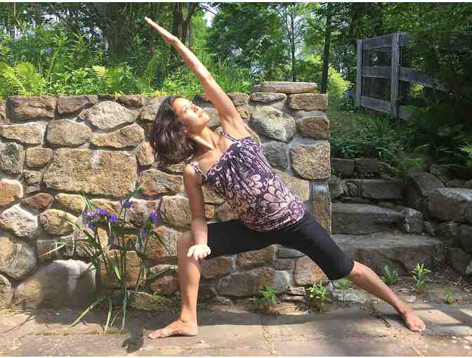Private Session of Gyrotonic or Yoga with Naomi Relnick of Breathe Brooklyn
