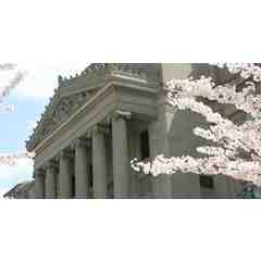 Brooklyn Museum - Memberships