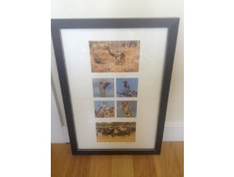 Collage of African Fauna by Margaret M Harris
