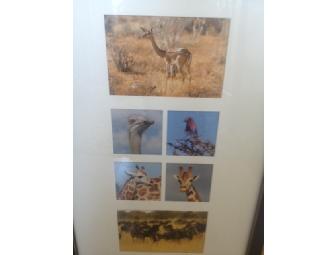 Collage of African Fauna by Margaret M Harris