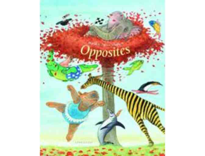 Children's Books Package: Boom, Boom, Boom, Opposites and Chloe, Instead