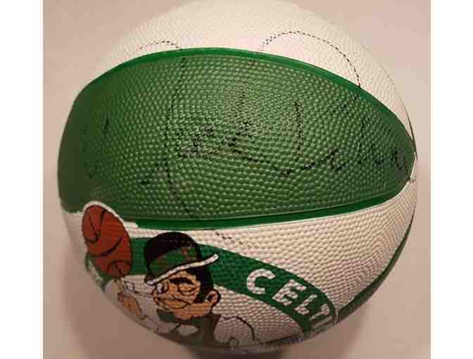 Boston Celtics Basketball Autographed by Rick Pitino