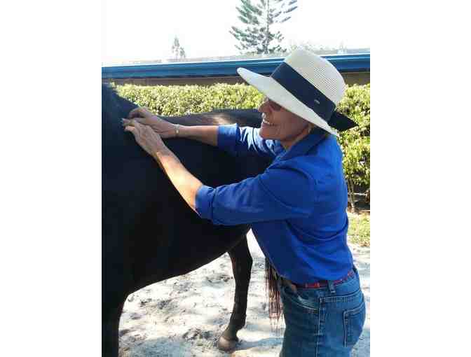 One Hour Horse Massage by Jo Tyrrell