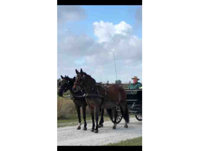 Peter Orthwein Coaching Package