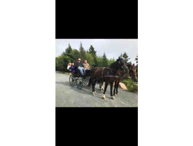 Peter Orthwein Coaching Package