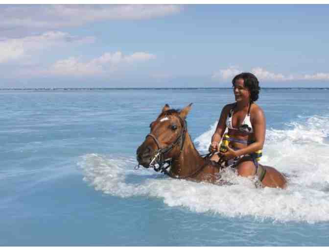 Jamaica Polo Package in Montego Bay Jamaica