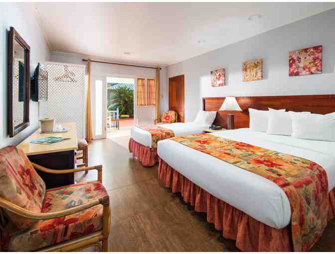 Jamaica Polo Package in Montego Bay Jamaica