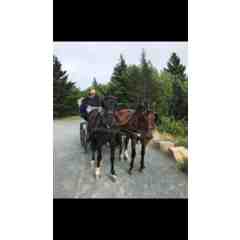 Peter Orthwein Coach Rides