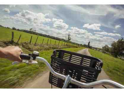 Cycling, Wineries, Lunch and tour for Two in Sonoma