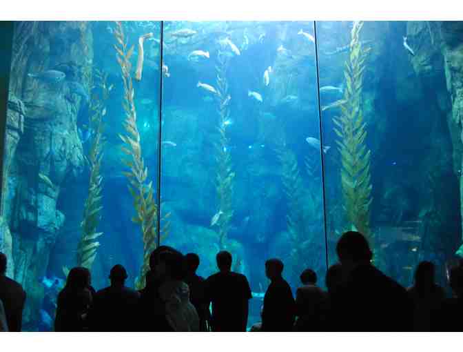 Aquarium of the Pacific for Two