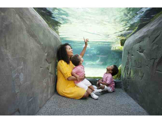 Aquarium of the Pacific for Two