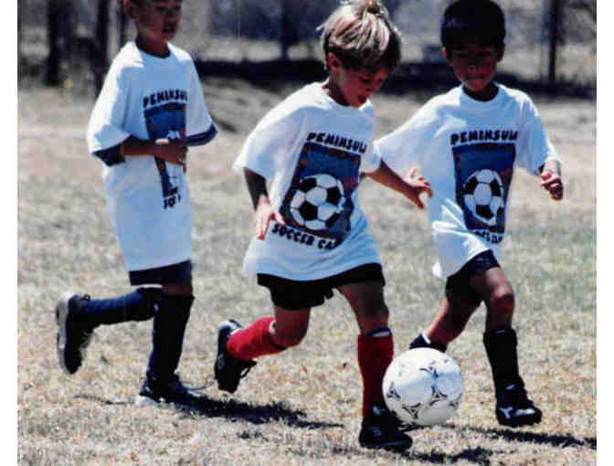 Peninsula Sports Camp for One- Baskeball, Baseball or Soccer Camp