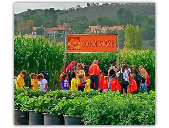 Tanaka Farms Tour & Tasting for 4- Strawberry, Corn, Melon or Pumpkins