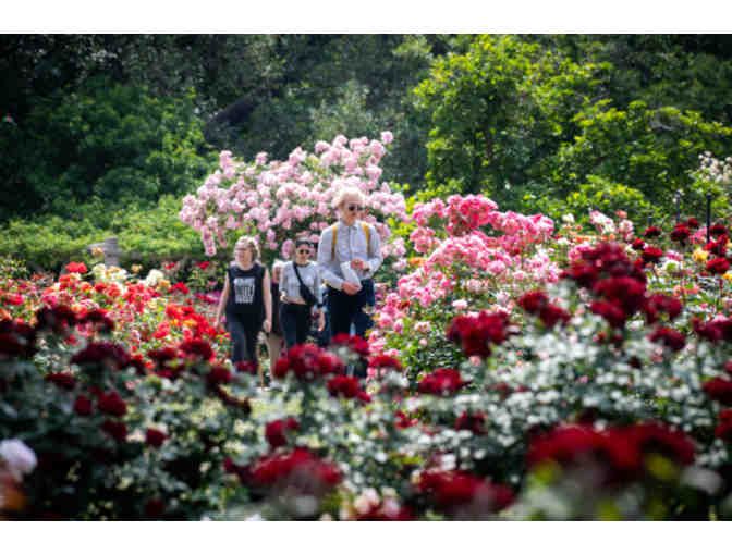 The Huntington Library for Two