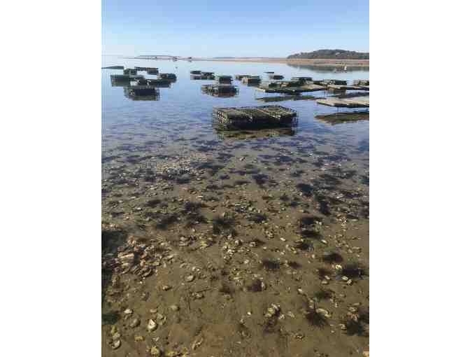 Lucky Lips Oysters' Sea Farm Tour for Party of Six