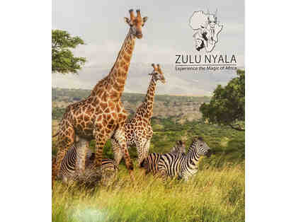 Photo Safari for 2 to South Africa with Zulu Nyala