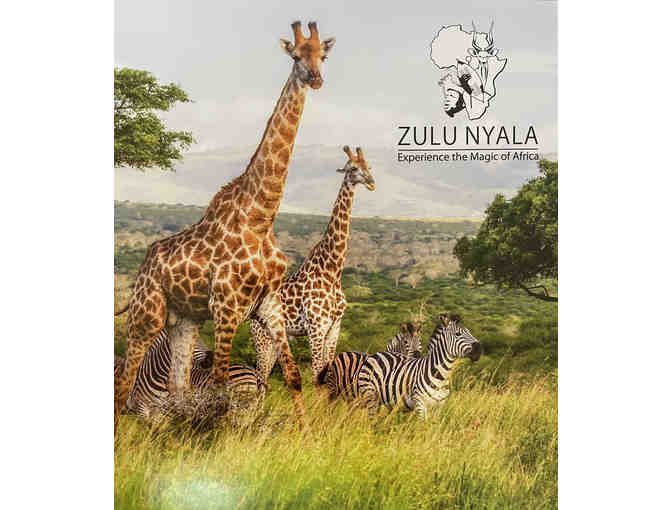 Photo Safari for 2 to South Africa with Zulu Nyala